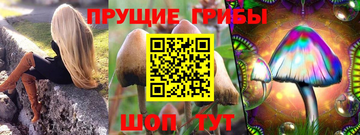Галлюциногенные грибы мицелий  Вход с VPN  Тавда 